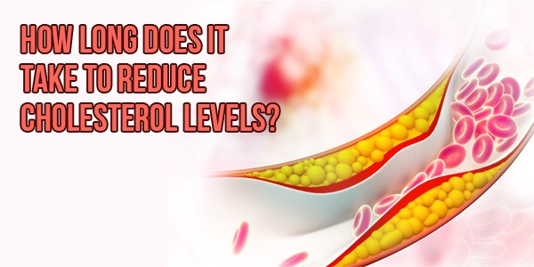 How long does it take to reduce cholesterol levels?